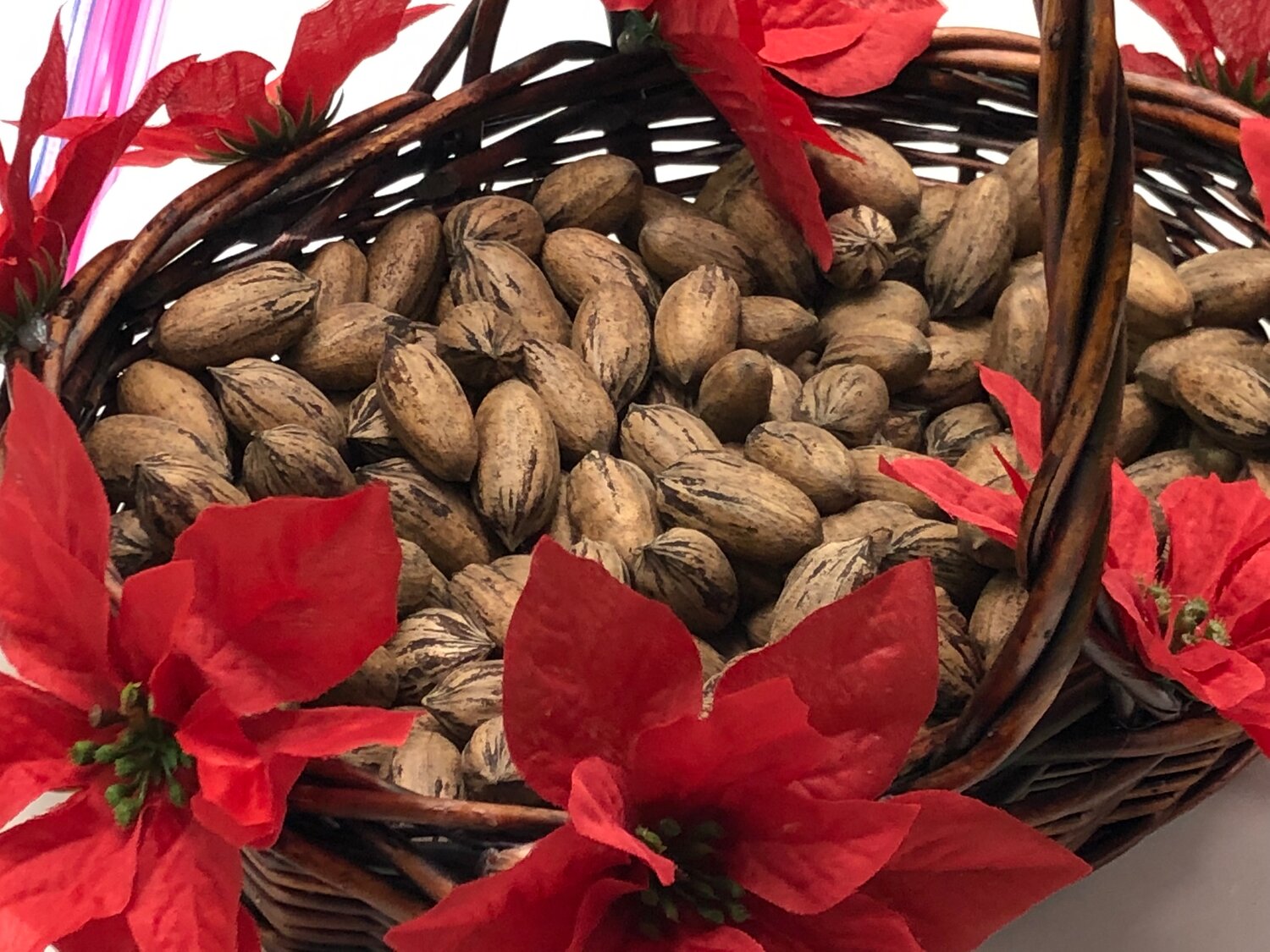 Pecan art needed for festival Desert Exposure